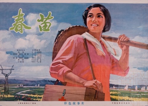 九州情報大学社会学文凭证书